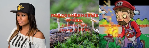 тгк Абинск