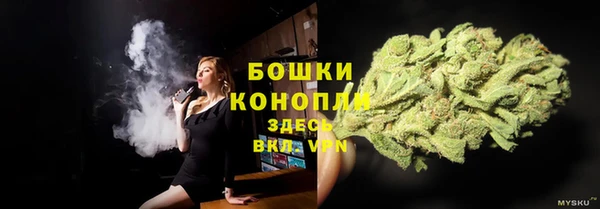 шишки Абдулино