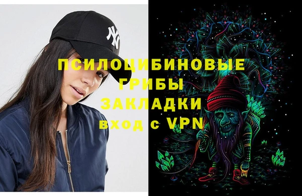 шишки Абдулино